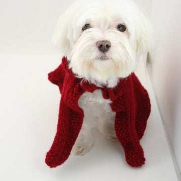 P05 Dog Clothes Puppy Red Riding Hood