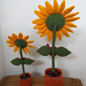 Rockin' sunflowers