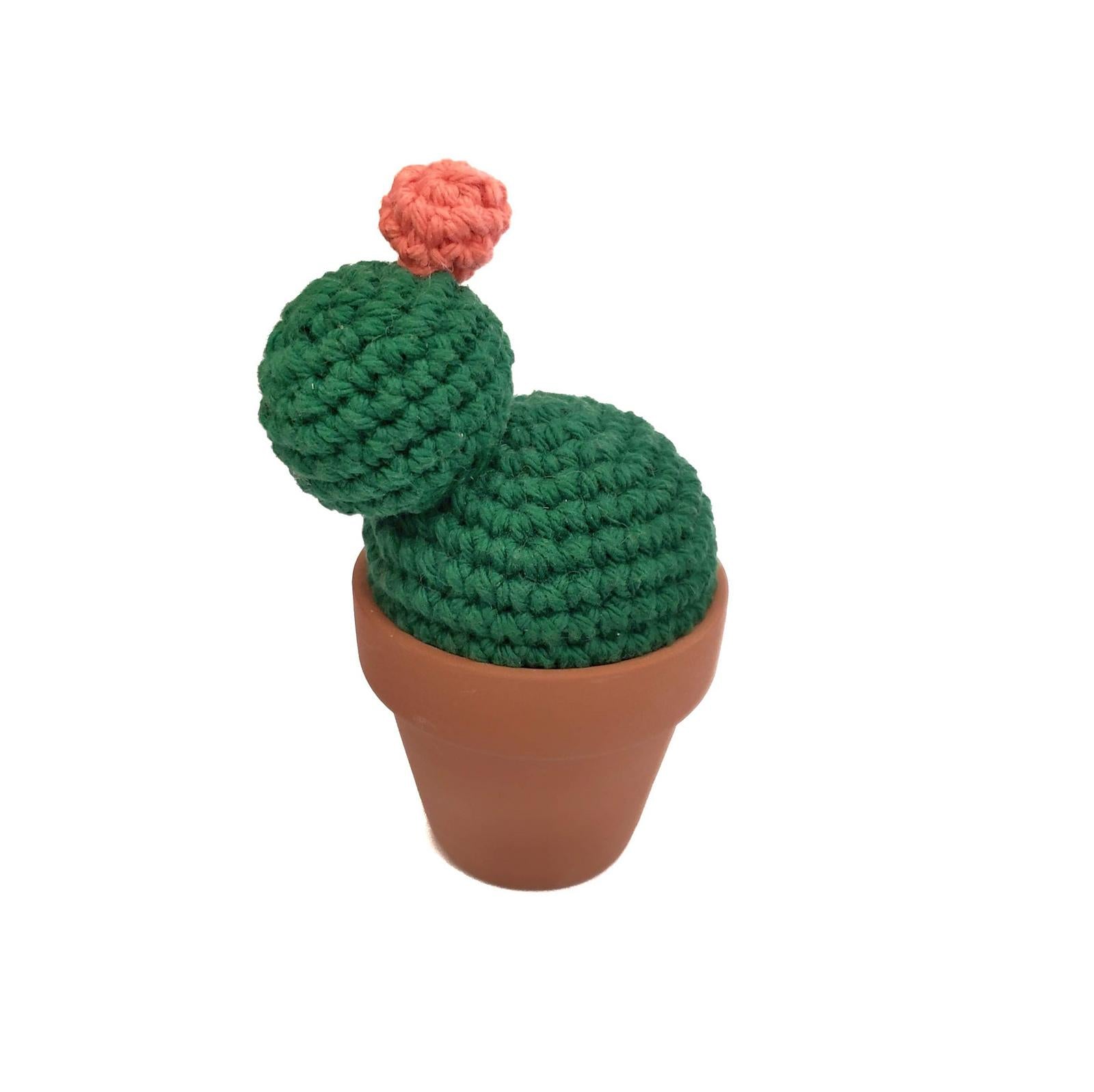 Cactus Amigurumi Bundle