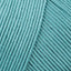 Dark Turquoise (71)