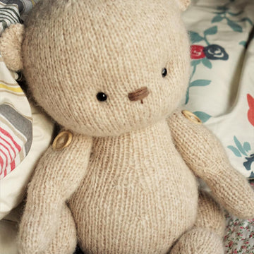 Teddy Bear Toy