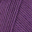 Blackcurrant (619)