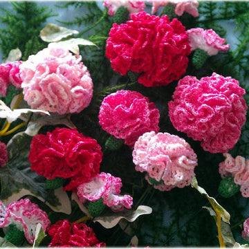 Carnation bouquet