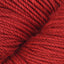 Sour Cherry (02134)