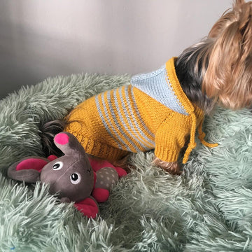 Hooded Sweater for Dogs