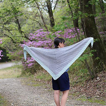 Up right shawl