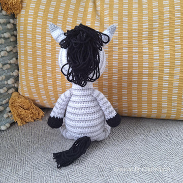 Zinnie the Baby Zebra