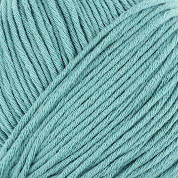 Light Petrol (153)