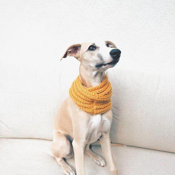Doggo no 4 scarf