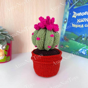 Cactus in a pot