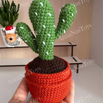 Cactus 2 in a pot