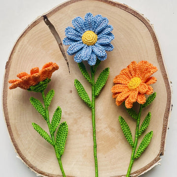 Calendula
