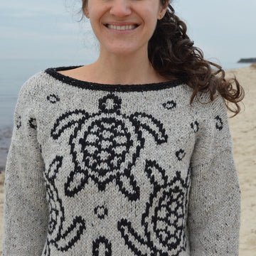 Sea Turtles Pullover