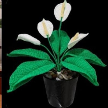 Crochet Peace Lily flowers