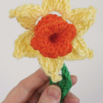 Delightful Daffodil
