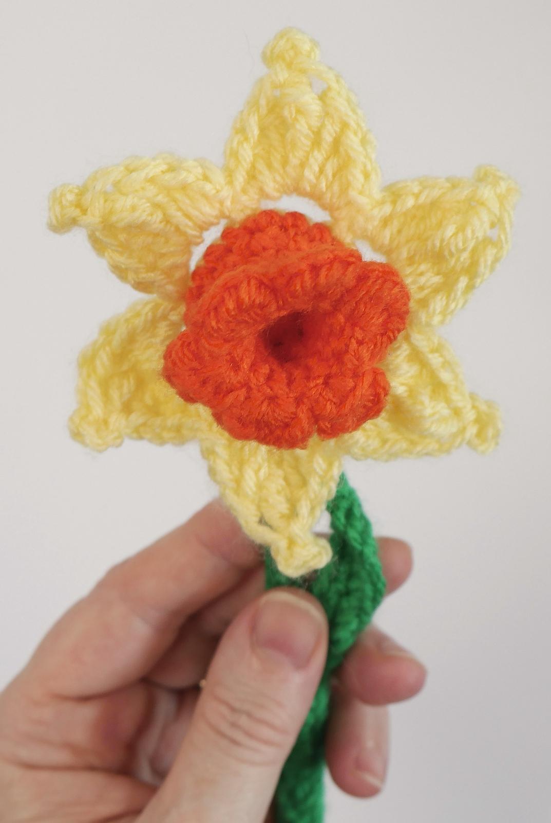 Delightful Daffodil
