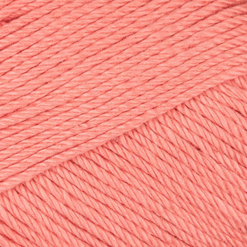Salmon (039)