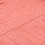 Salmon (039)