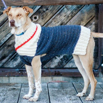 Ready to Roam Dog Sweater