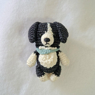 Border Collie Dog