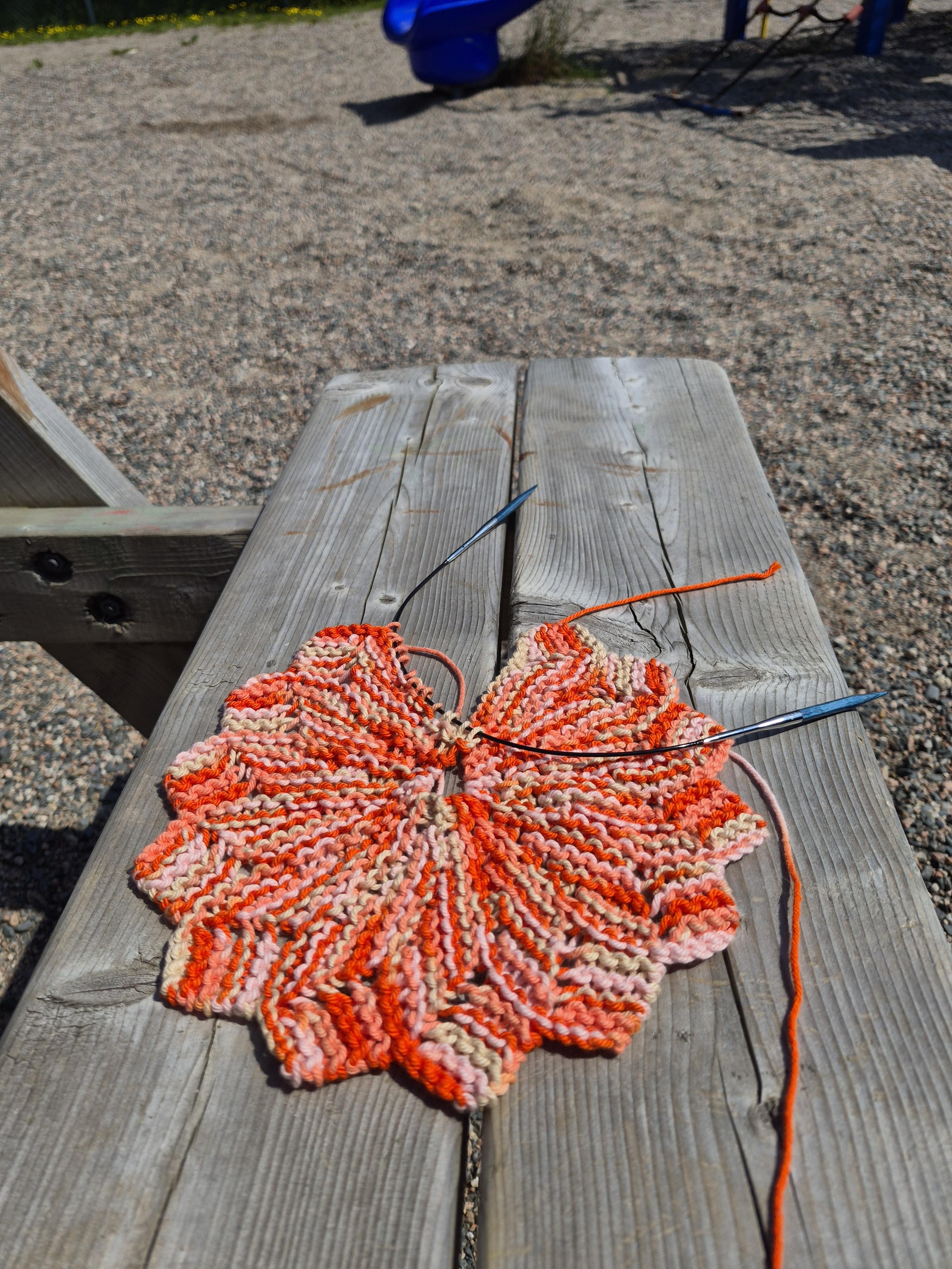 Petal Dishcloth and Coaster