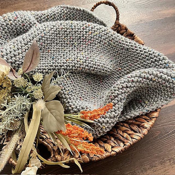 Snug As a Bug Blanket