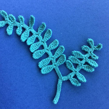 Seaweed