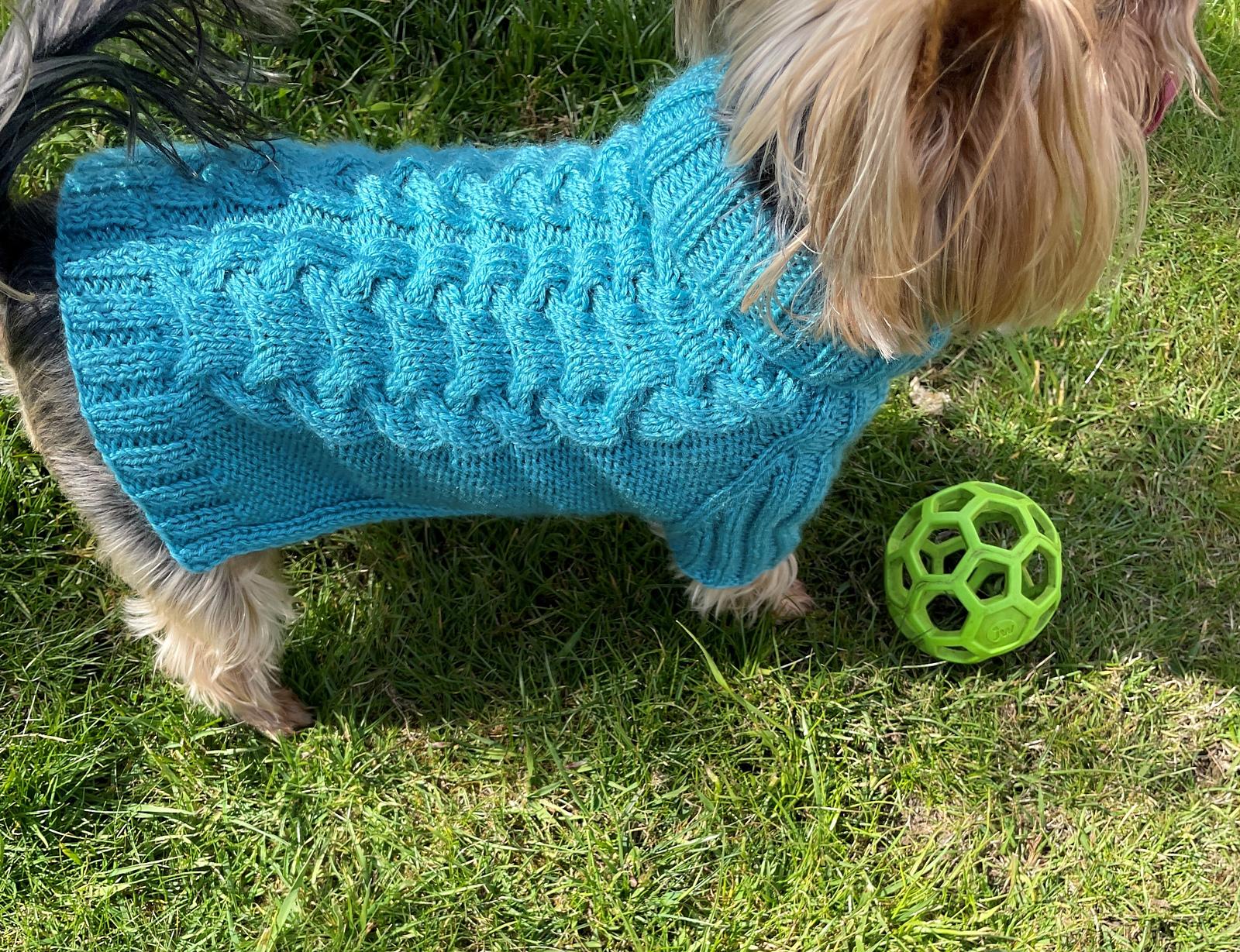 Aqua Dog or Cat Sweater