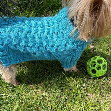 Aqua Dog or Cat Sweater