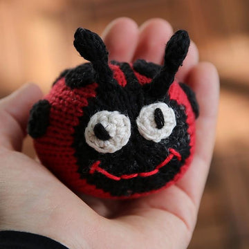 Marie the Ladybug