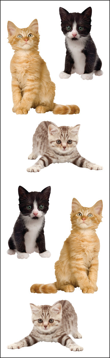 Mrs. Grossman's Stickers - Adorable Kittens