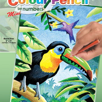 Royal Brush Mini Color Pencil By Number Kit 5"X7" - Tropical Birds