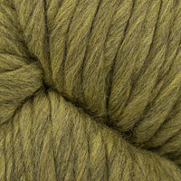 Turtle (2452)