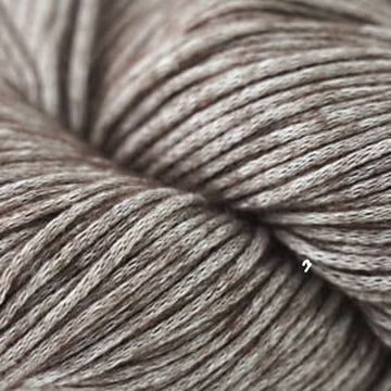 Cocoa (15)