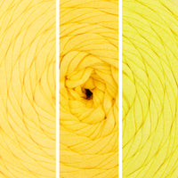 Yellow shades (ZP001-13)