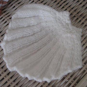 Scallop Shell