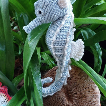 Seahorse