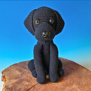 Labrador sitzend