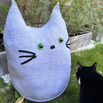 Chonky Cat