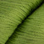 Lime (618)