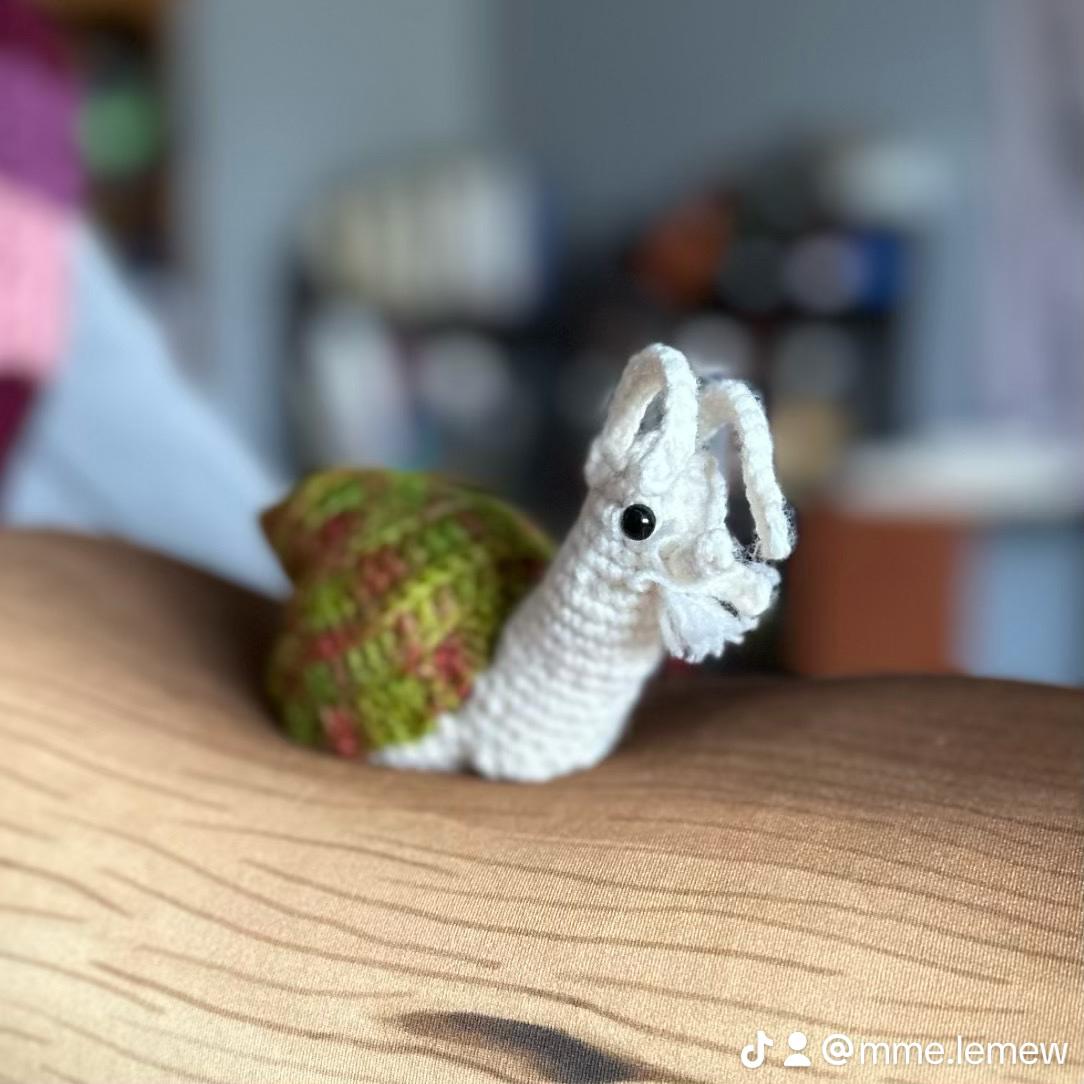 Waved Welk Snail