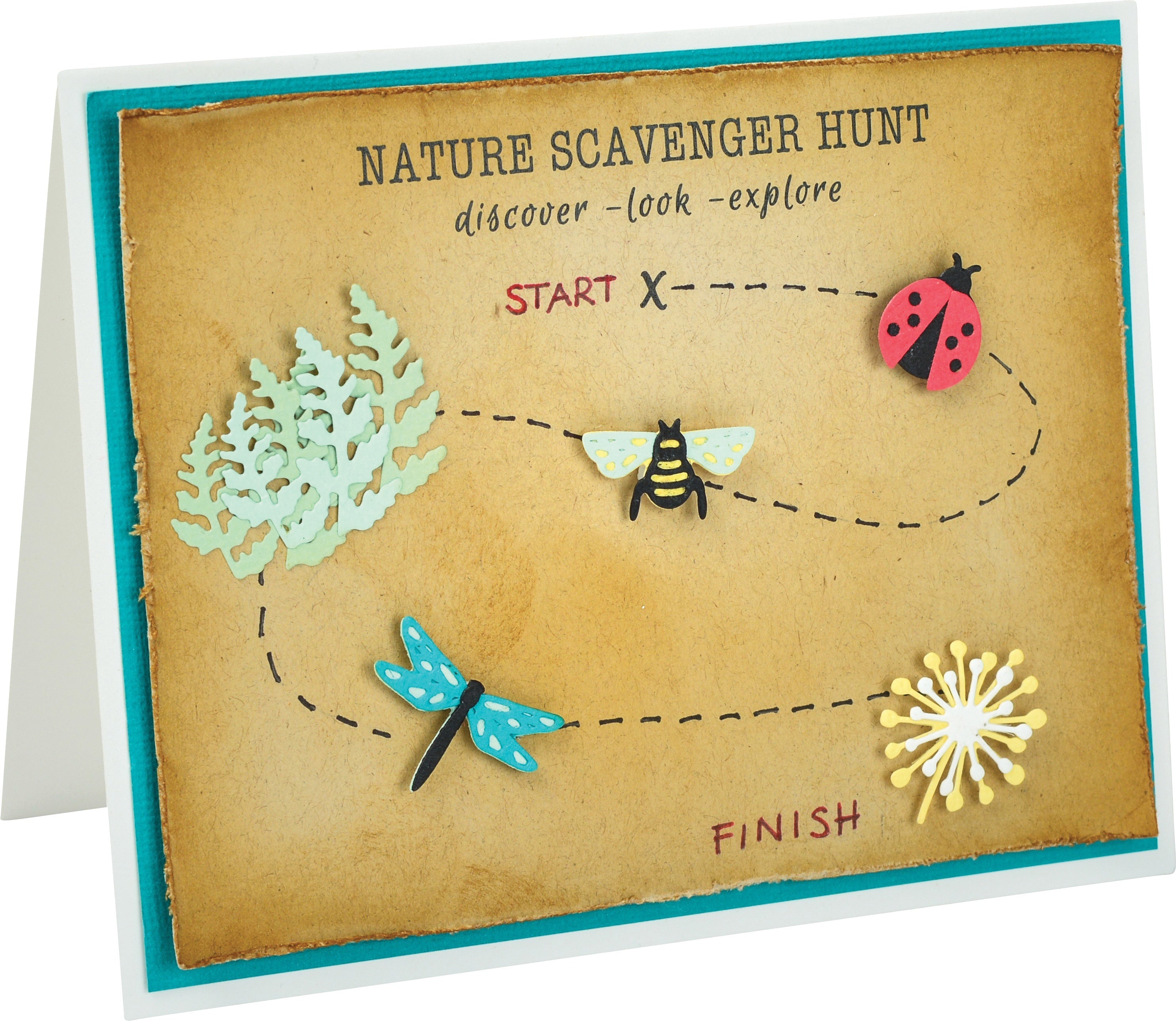 Sizzix Thinlits Dies By Lynda Kanase 10/Pkg - Tiny Nature