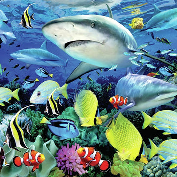 Royal Brush Junior Large Paint By Number Kit 15.25"X11.25" - Reef Sharks