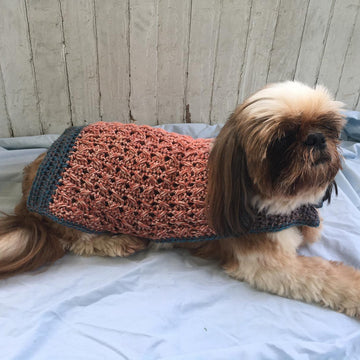Walk The Dog Sweater