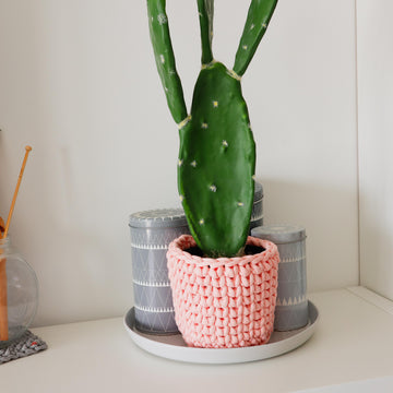 The Cactus Cozy