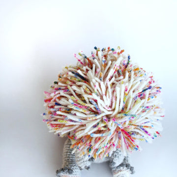 Rainbow the Hedgehog