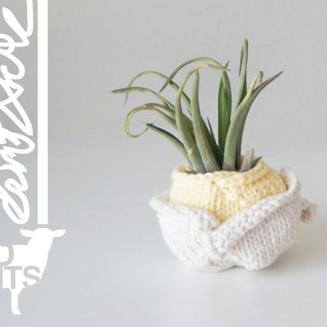 Origami Rose Air Planter (2015011)