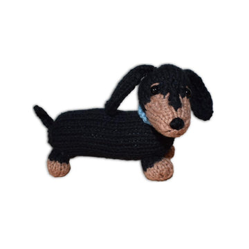 Dachshund Puppy