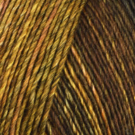 Begonia (6894)