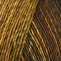 Begonia (6894)